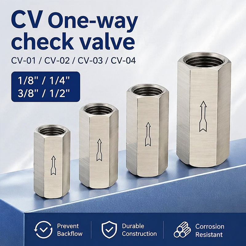 Compression Fitting Brass - Vanne de retenue en acier inoxydable